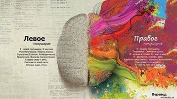 Ментальная арифметика теперь и в Великих Луках